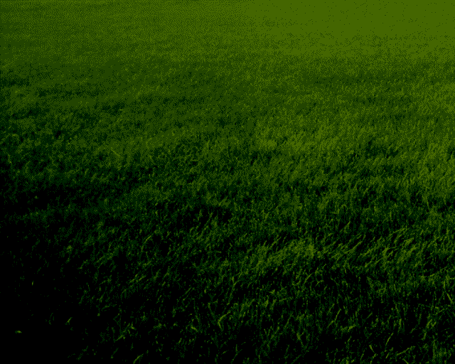 Grass001.png