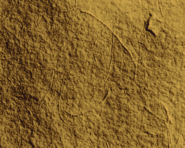 Texture014.png